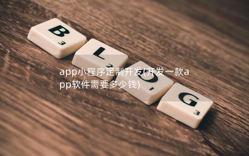 app小程序定制开发(开发一款app软件需要多少钱)